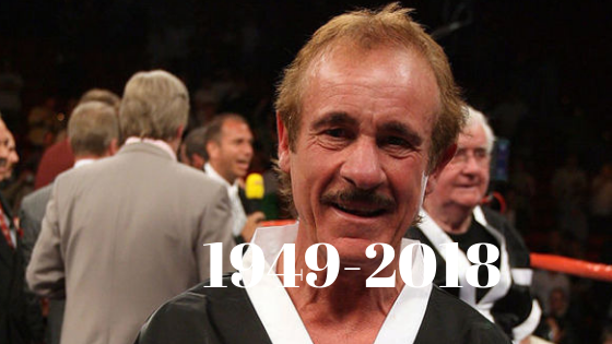 Enzo Calzaghe