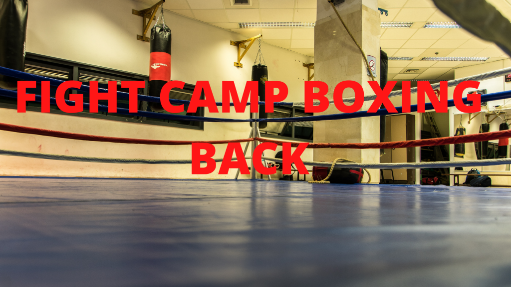 fight camp, boxing back